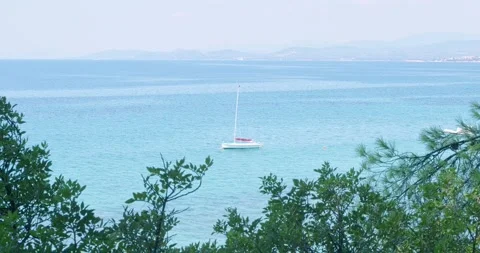 4K Tranquil View of a Sailboat Gently Swaying on a Blue Sea Amidst Trees Stock Footage 245446247