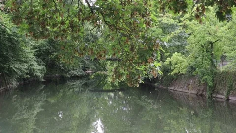 4K Tranquil View of a Serene Small Lake with Scenic Surroundings Stock Footage 221171167