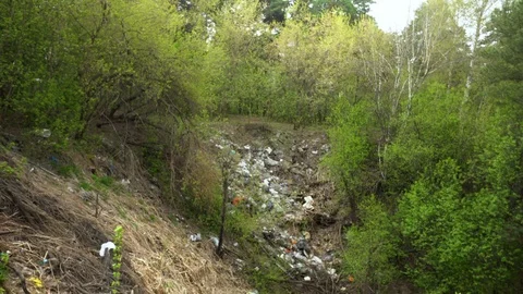 4K. A trash dump spot in the nature of wood Stock Footage 108363614