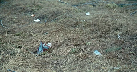 4K Trash on lake beach left from tourists Video stock 105490765