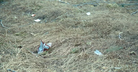 4K Trash on lake beach left from tourists Video stock 105490833