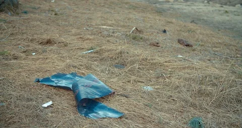 4K Trash on lake beach left from tourists Video stock 105490865