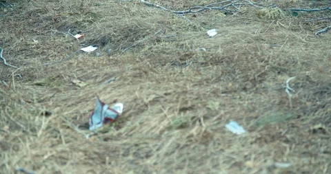 4K Trash on lake beach left from tourists Video stock 105491323