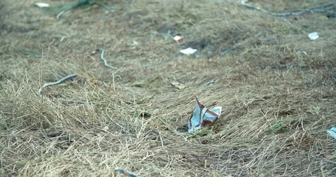 4K Trash on lake beach left from tourists Video stock 105491700