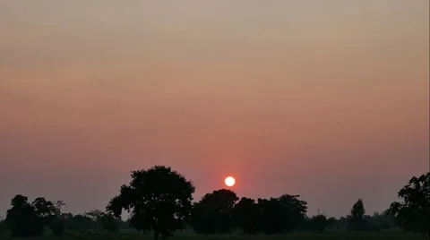 4K ,Tree on the Meadow Time Lapse at sunset 스톡 동영상 56394062