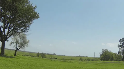 4K Tree waving in the wind in the Midwest plains Stock Footage 40588646