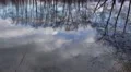 4k Trees and clouds mirroring on lake surface 4k or 4k+ Resolution