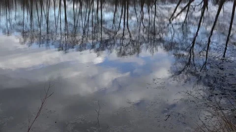 4k Trees and clouds mirroring on lake surface Stock Footage 48813929