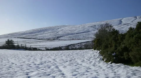 4k trees and snow background, winter landscape, sunny day, blue sky Stock Footage 47023226