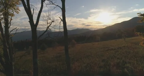 4K Trees, Meadow, and Sunset Reveal Early Fall Stock Footage 92266154