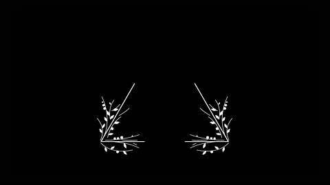 4K Triangular frame with hand drawn flowers animation Stock Footage 149979018