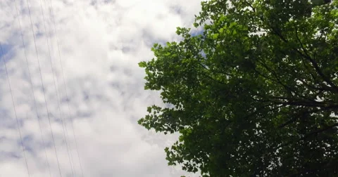 4K: A trip on a road along some power lines with a cloudly sky and some trees Stock Footage 65920710