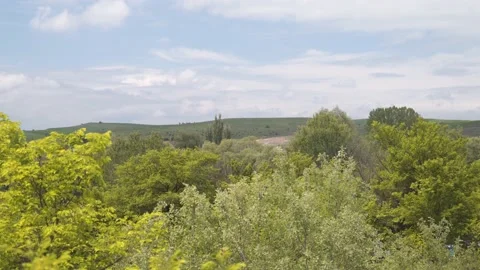 4K Tripod Shot of small forest on a sunny day with a small hill in background Stock Footage 234808500