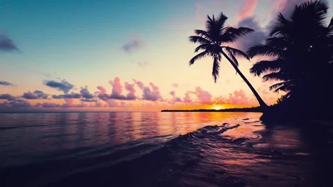 4K Tropical Beach Landscape Sunset Palm Tree Silhouettes Water Refract Stock-Footage 332157433