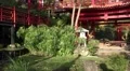 4k Tropical china garden Madeira architecture ambiente 4k or 4k+ Resolution