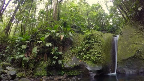 4k tropical forest waterfall rotating timelapse Stock Footage 91335331