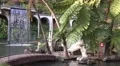 4k Tropical garden with waterfall and sculptures Madeira 4k or 4k+ Resolution