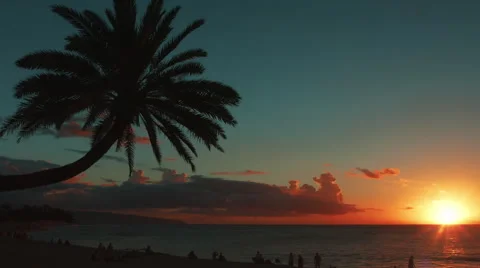4k Tropical Sunset Video stock 41715758