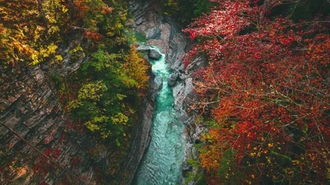 4K Turquoise River Flowing Through Rocky Canyon With Autumn Foliage Stock-Footage 334460155