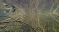 4K twigs and yellow grass filmed under water, a leaf is floating on the surface 4k or 4k+ Resolution