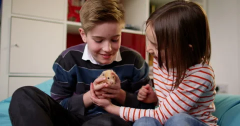 4k, Two kids play with their pet hamster at home. Slow motion. Stock Footage 61376849