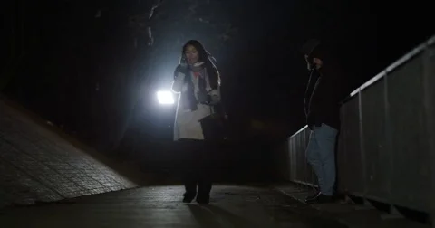 4k, Two men fail to steal a woman's purse who is walking home alone Stock Footage 72824987