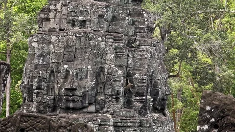 4k Two monkeys gets down by a cambodian ruins wall. Angkor Thom Bayon Temple-Dan Stock Footage 119056467