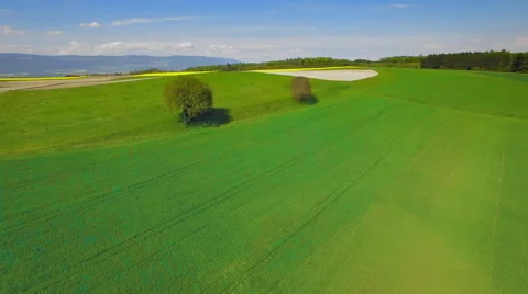 4K Two trees lost in the countryside Video stock 63141270
