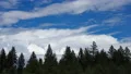 4K UHD 24p clouds over forest time lapse 4k or 4k+ Resolution