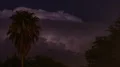 4K UHD 24p large thunderhead flashes behind palm tree tight time lapse 4k or 4k+ Resolution