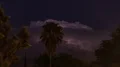 4K UHD 24p large thunderhead flashes behind palm tree wide time lapse 4k or 4k+ Resolution