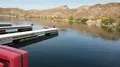 4K UHD 60p long neck geese jumping into water from docks 4k or 4k+ Resolution