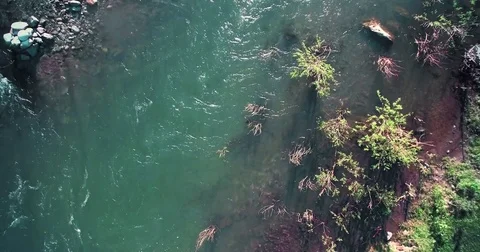 4k UHD aerial view. Low flight over fresh cold mountain river at sunny summer Stock Footage 82232853