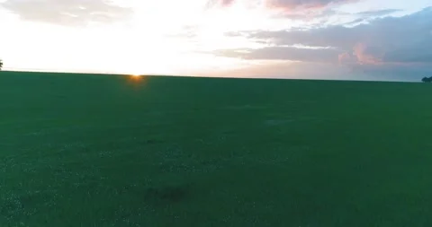 4K UHD aerial view. Low flight above rural summer landscape with endless green Stock Footage 155084701