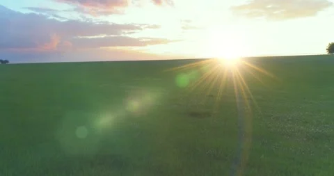 4K UHD aerial view. Low flight above rural summer landscape with endless green Stock Footage 311525515