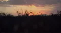 4K UHD after desert storm sunset real time 4k or 4k+ Resolution