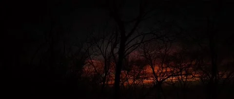 4K UHD Anamorphic Timelapse  Of Tree Sunset Stock-Footage 162773351