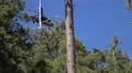 4K UHD blackhawks join and leave area w sound 4k or 4k+ Resolution