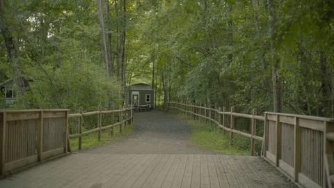 4K UHD Cabin in the Woods Video stock 70210087