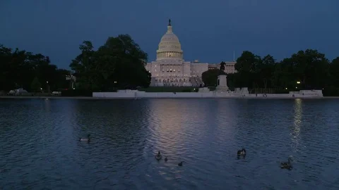 4K UHD Capitol in Washington DC with ducks Stock Footage 76364354