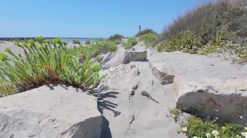 4K UHD cinematic handheld tracking shot of coastal rocks and green shrubs Stock-Footage 347126924