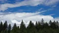 4K UHD clouds over forest time lapse 4k or 4k+ Resolution