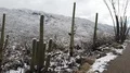 4K UHD drivers POV driving thru saguaro national forest after winter storm 2 4k or 4k+ Resolution