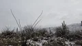 4K UHD driving thru the Sonora desert after snow storm drivers side POV 4k or 4k+ Resolution