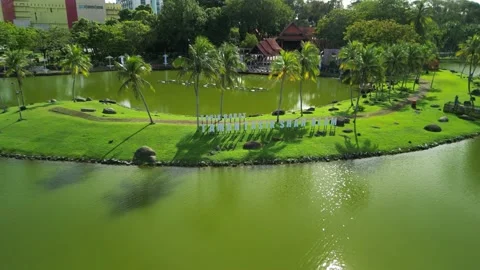 4K UHD drone fly backward and rise Stock Footage 227749679