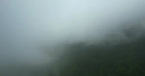 4K UHD drone footage showcasing a foggy forest landscape Stock Footage 297573904