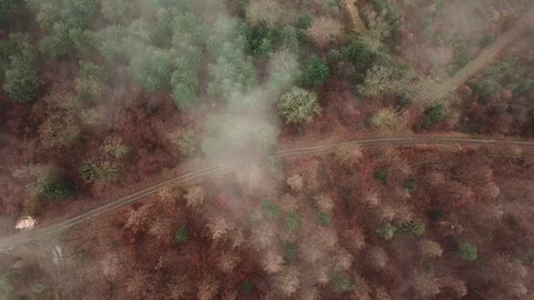 4K-UHD Drone Shot: flying through clouds in a german forest in autumn Stock Footage 118246367