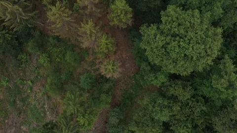 4K-UHD Drone Shot: Stock Footage 118237177