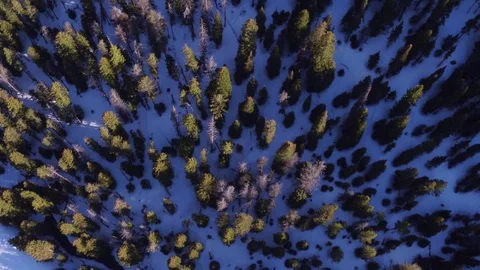 4K UHD drone shot over head looking down at a snowy mountain forest Stock Footage 75541085