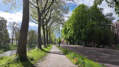 4K UHD dynamic forward tracking shot on Utrecht park path with spring light Vídeos de archivo 347200613